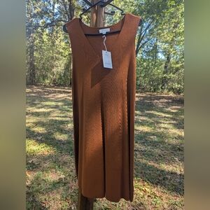 🌟NWT Free Assembly V Neck Swing Fall Ribbed Dress